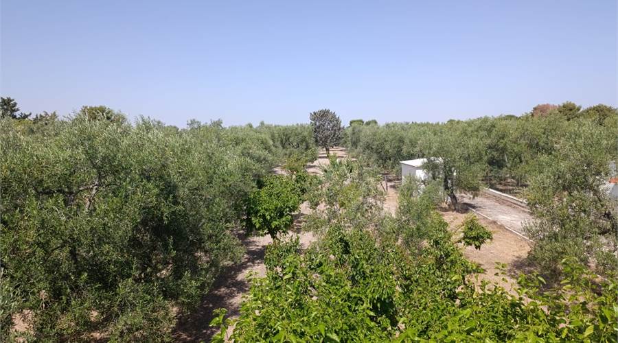 Photo 18